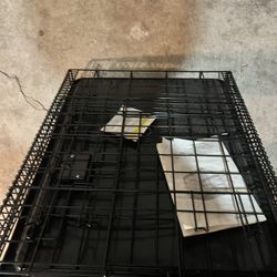 Dog Cage 