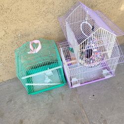 Bird Cage