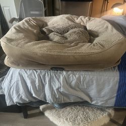 Great Deal Good Condition Big Beige Beauty Rest Dog 🐕 Bed 