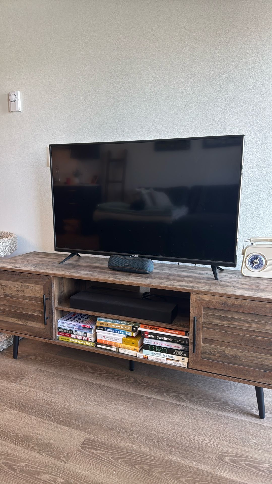 Vizio TV