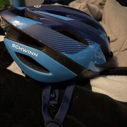 schwinn helmet