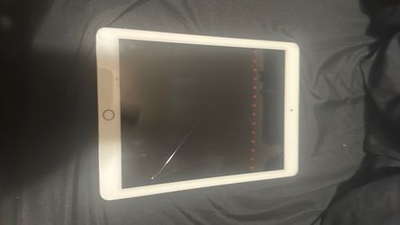 Pink iPad Pro 9.7"