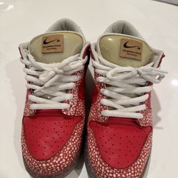 Stingwater Nike SBs 
