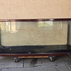 Bowfront Aquarium Fish Tank
