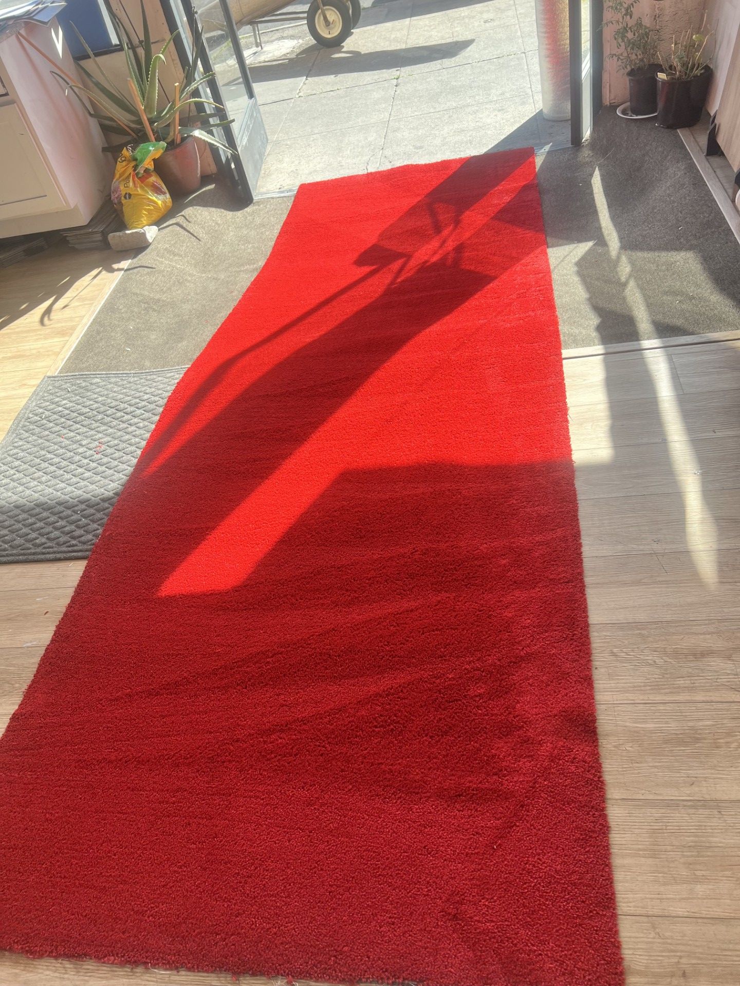Red carpet!