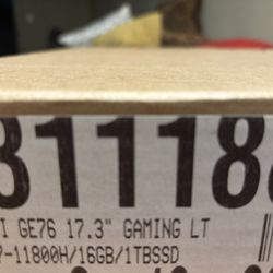 MSI GE76  Laptop  GAMING. LT  17.3 Inch 