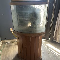 Aquarium For Sale 