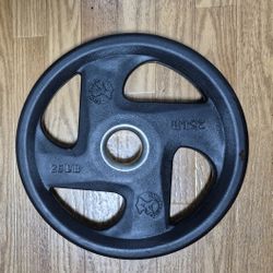 25 LBS, WEIGHT PLATE