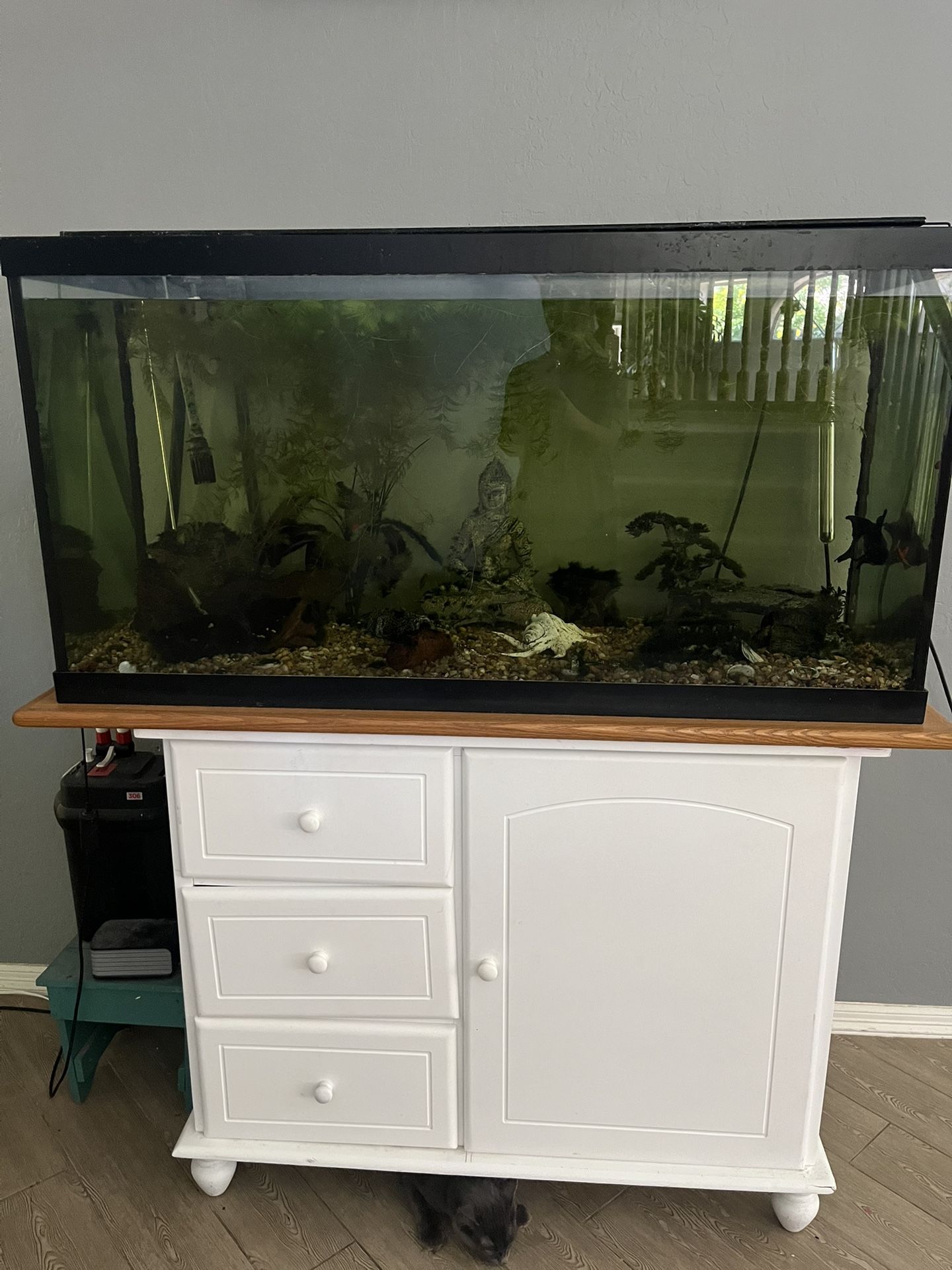 90 Gallon Aquarium With Stand, Filter And Decor