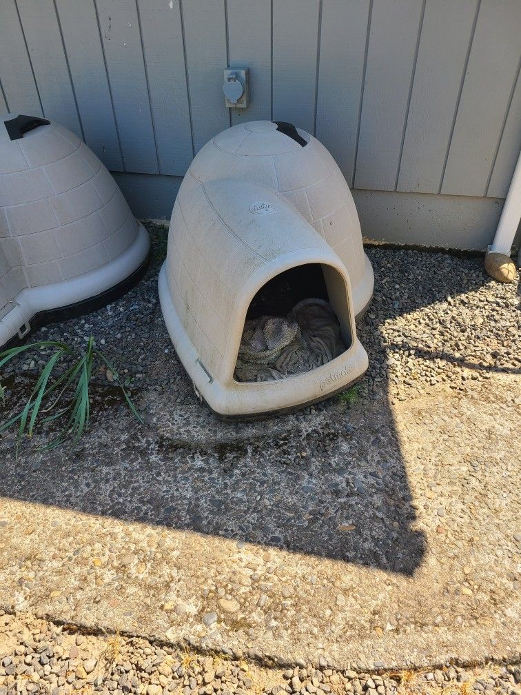 Petmate Igloo Dog House Large Breed Dog