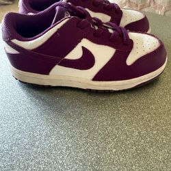Kids Nike Dunks