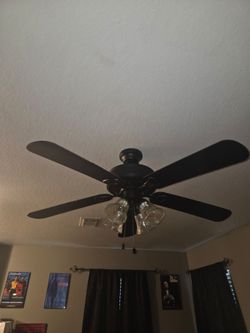 I have 3 ceiling fans in excellent condition. 2 black fans and 1 silver going for $25 a piece.