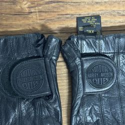 Harley Davidson / Riding Gear