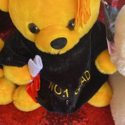 Osos De Graduación Para Niño Y Niña