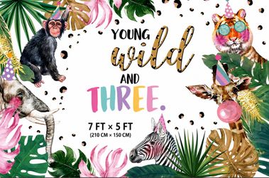 NEW Young wild and THREE BUNDLE BACKDROP AND TABLE CLOTHS 2 piece