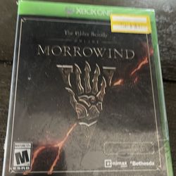 Morrowind game new