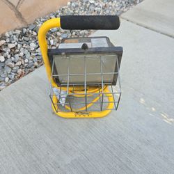 Work/Garage Light