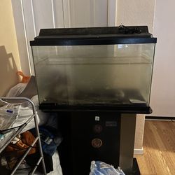 Fish Tank
