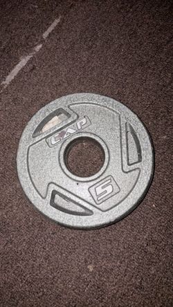 5lbs plates