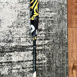 29” Demrini CF Bat