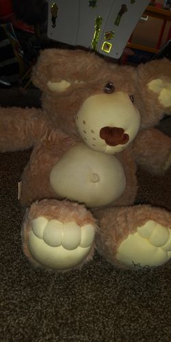 Bear