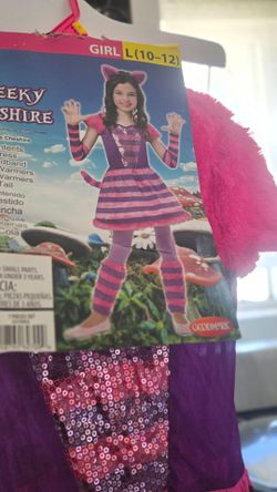 Cheshire Cat Girls Halloween Costume Size L (10-12)