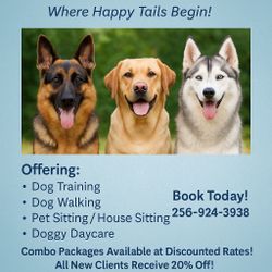 Dog Daycare, Walking, Training & House Sitting – Alyssa’s Canine Connection