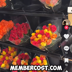 Farmhouse Welcome To The Coop Wooden Wall Decoration New