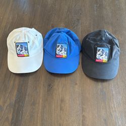 Supreme x The North Face Hats