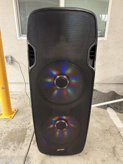 Gemini speaker