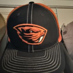 Beaver's Hat