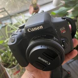 Canon Rebel T6i