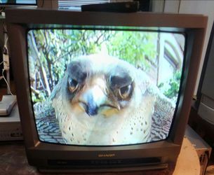 19" CRT TV Curved screen Retro gaming color television model 1992