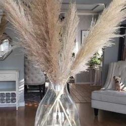 Pampas Grass For Sale - 3 Stems - Style Eva - Home Decoration, Special Event Design