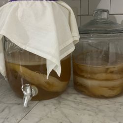 Make Your Own Kombucha