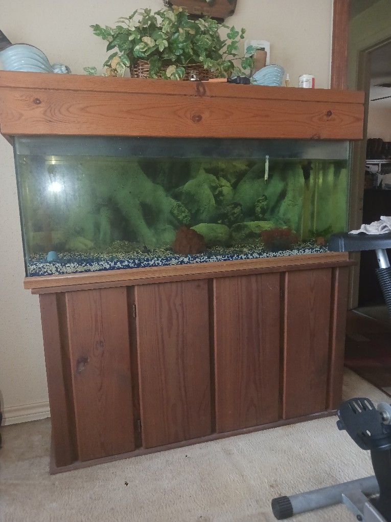 Complete Aquarium Set