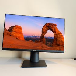 Dell 24" IPS Monitor