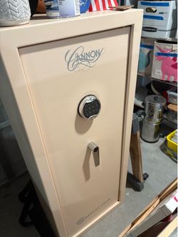 Cannon safe from Costco