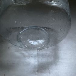 2.5 Gallon Glass Fish Bowl