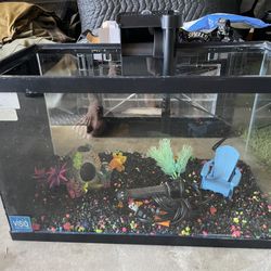 Fish Tank