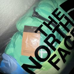 KAWS x The North Face Retro 1996 Nuptse Puffer Jacket Limited Edition Collab