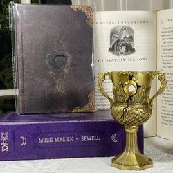 Horcrux Set Wizarding Trunk “Destroyed” Hufflepuff Cup & “Destroyed” Journal