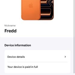 iPhone 17 Pro  256GB