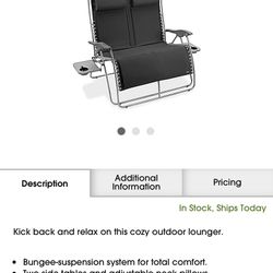 Loveseat Lounger Double Chair