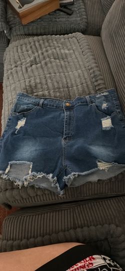 SHEIN 4X Shorts
