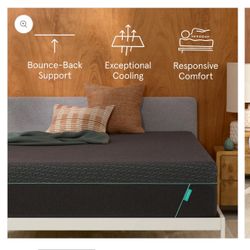 Cal King Tuft & Needle Bed & Frame 