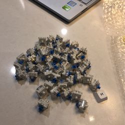 50pc Blue Switches