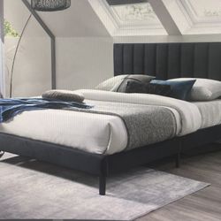 Elisa Bed (Twin)