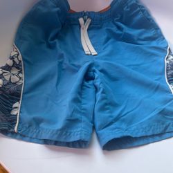 Swim Trunks / Shorts
