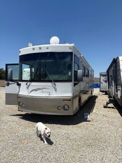 Winnebago Journey DL 39 Diesel Pusher